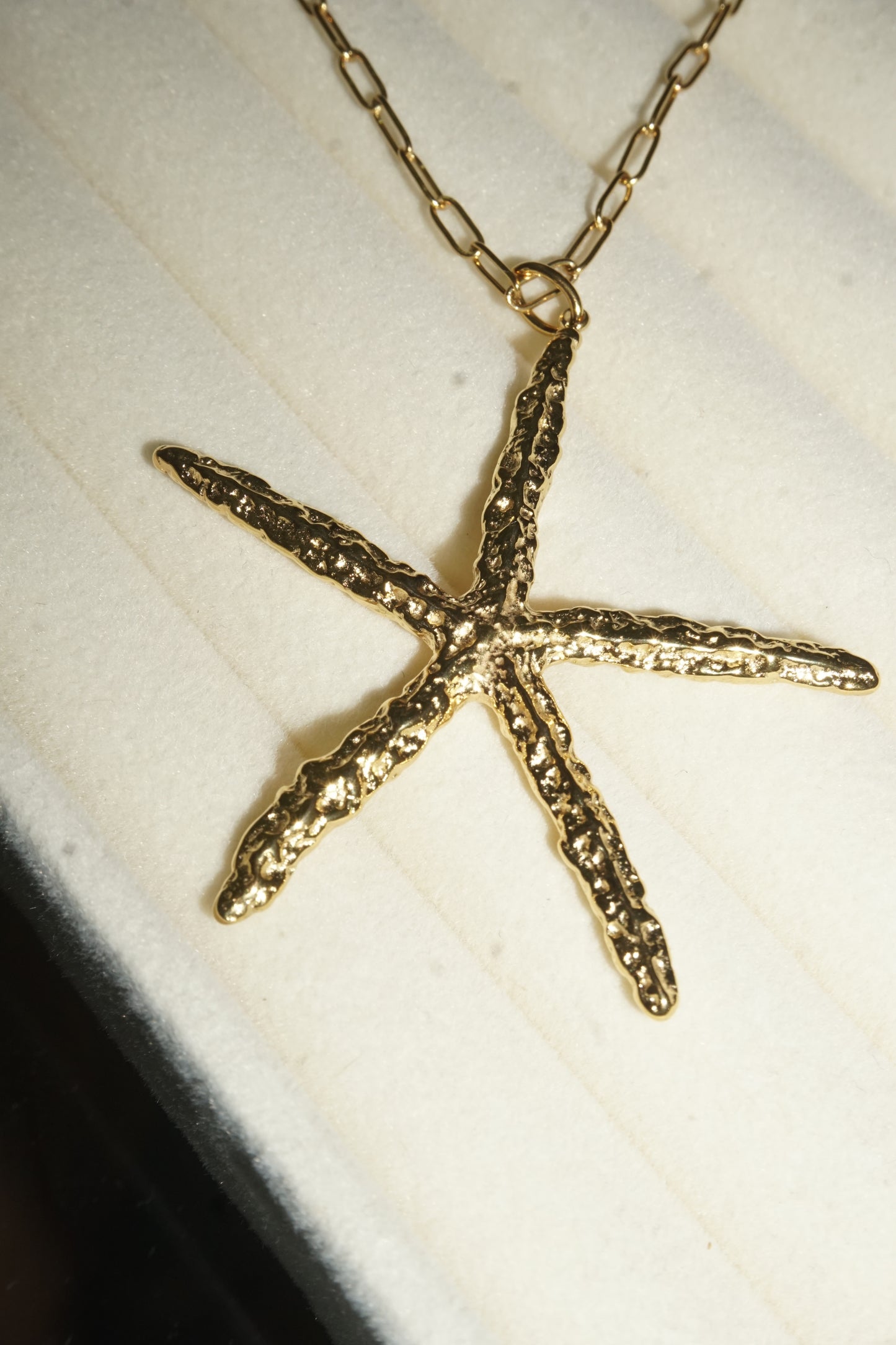 Estrellita de mar